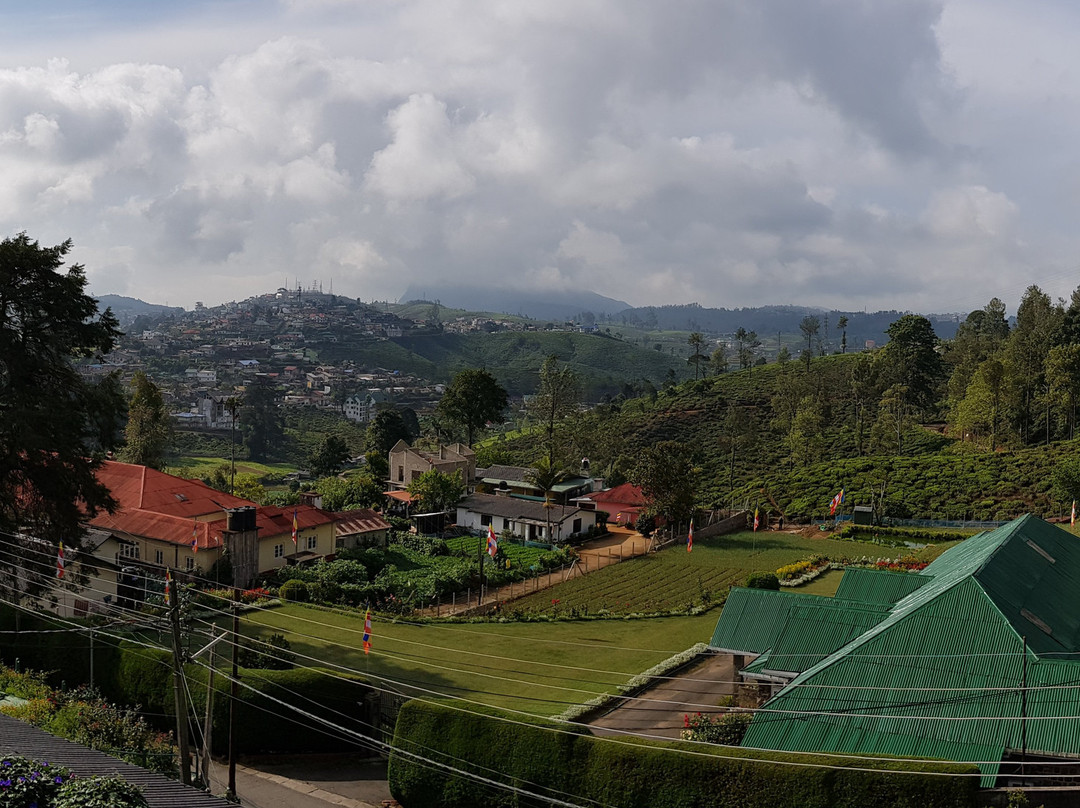 努沃勒埃利耶七天堂酒店主图