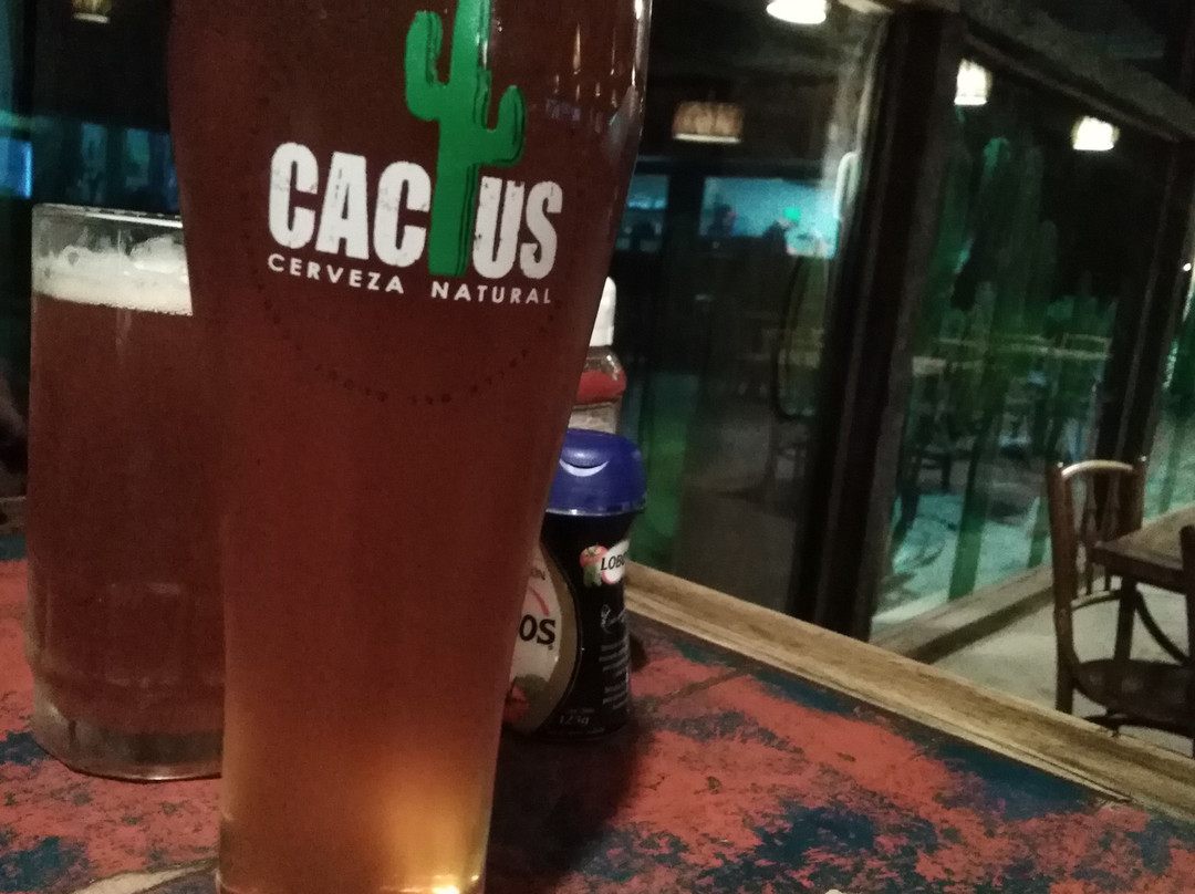 Cerveza Cactus-Vicuna必去景点