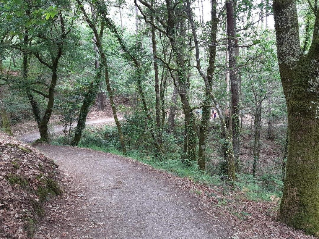 Celtic Ways-圣地亚哥德孔波斯特拉必去景点