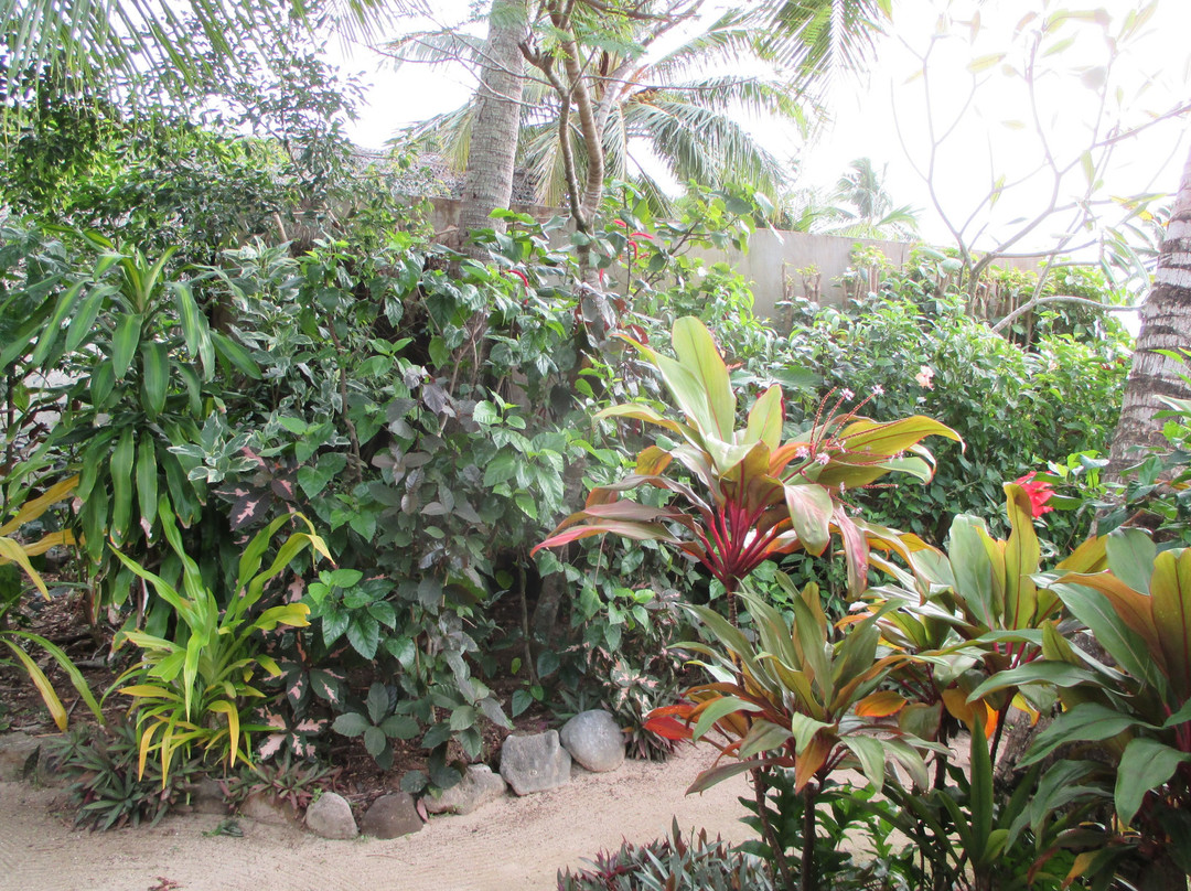 Manuia Beach Resort主图