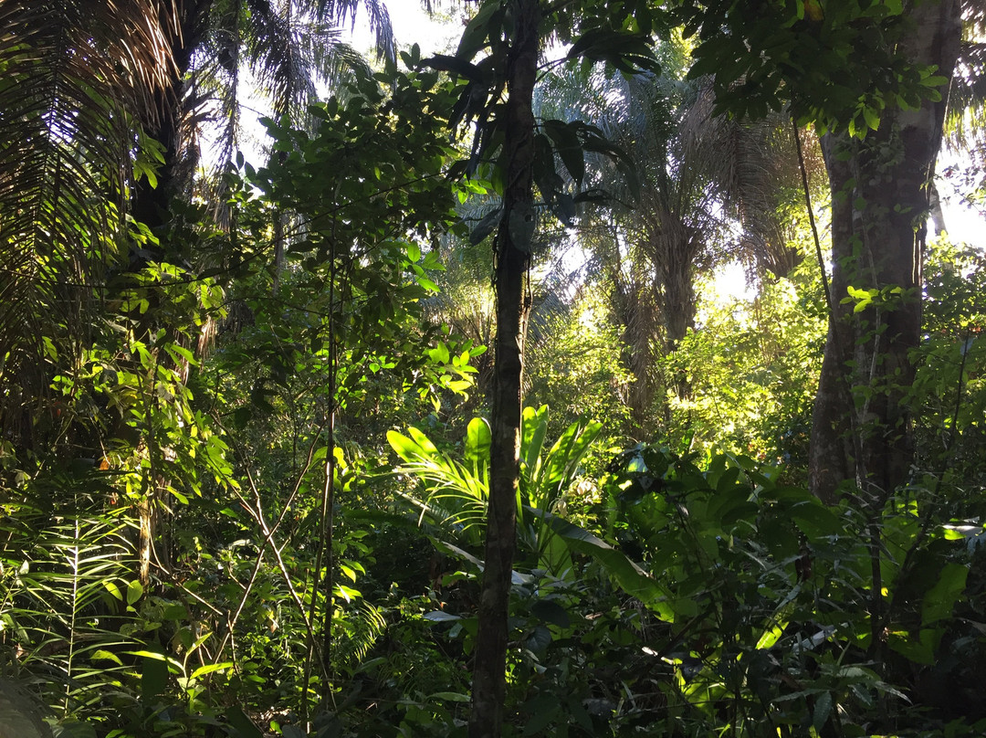 Aquicuana Reserve-Riberalta必去景点