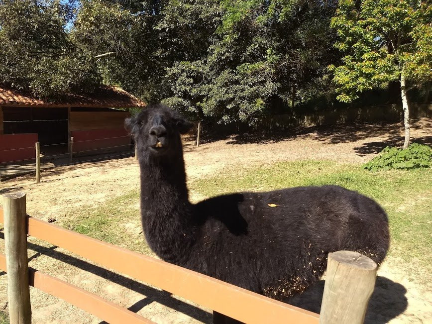 Bicho Mania-Cotia必去景点