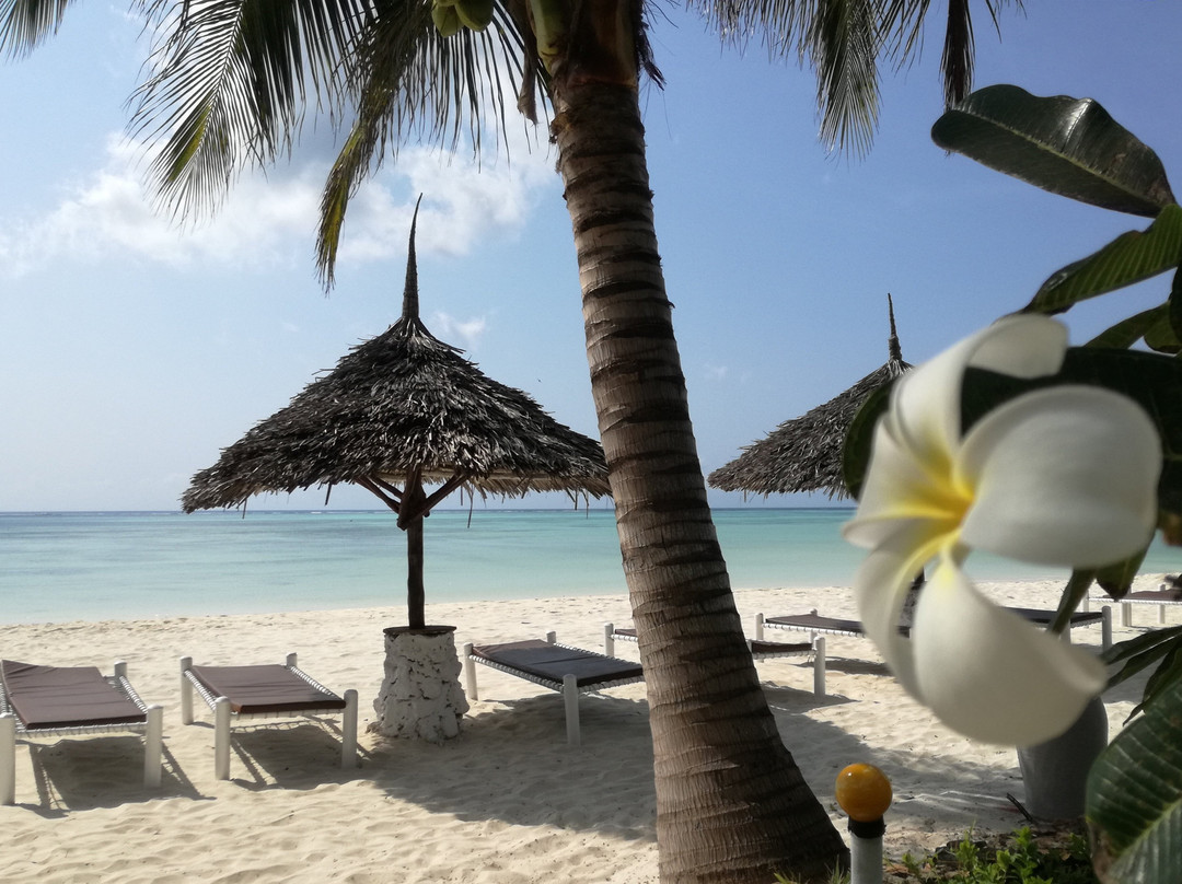 威基基桑给巴尔度假酒店主图