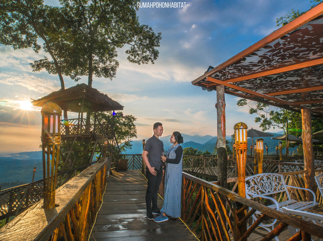 Rumah Pohon Habitat Tour-Binjai必去景点