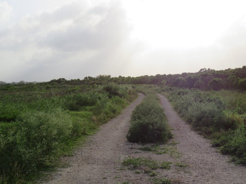 San Bernard National Wildlife Refuge-Brazoria必去景点