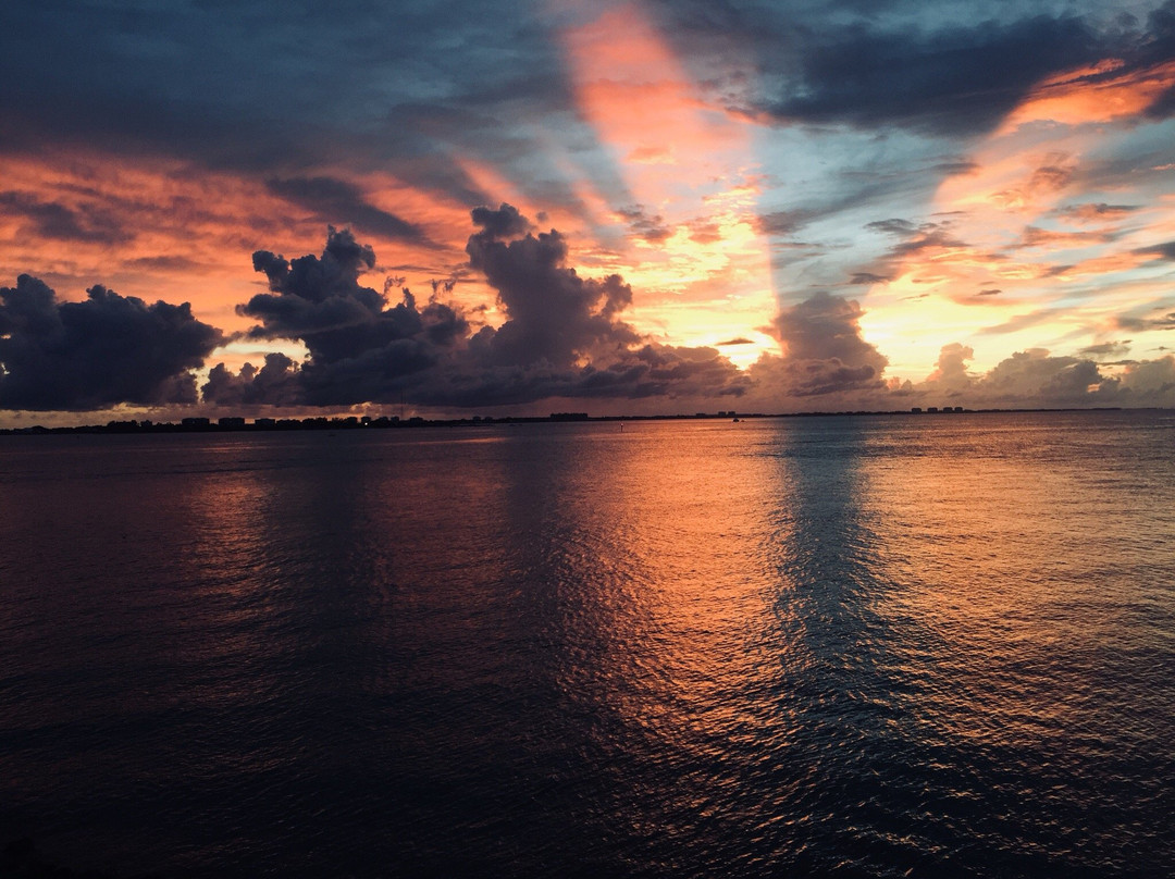 Hart's Landing-萨拉索塔必去景点