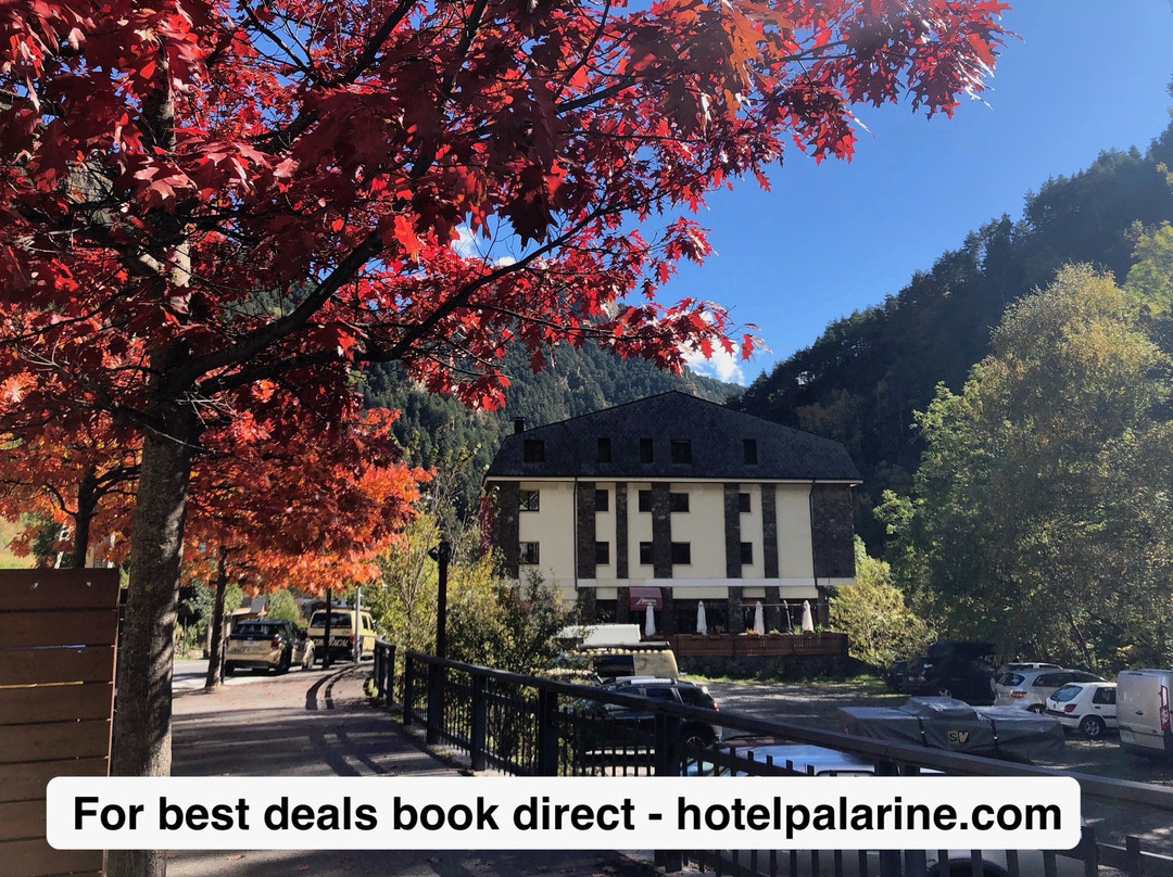 Hotel Palarine主图