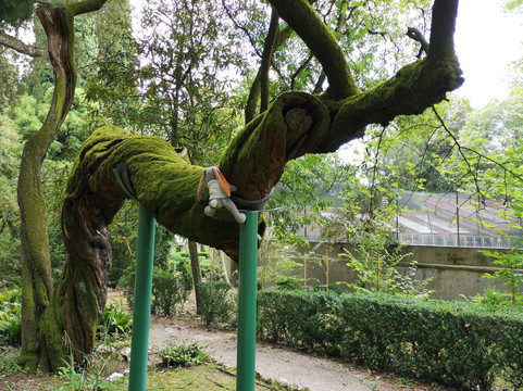 Giardini Parolini-巴萨诺－德尔格拉帕必去景点