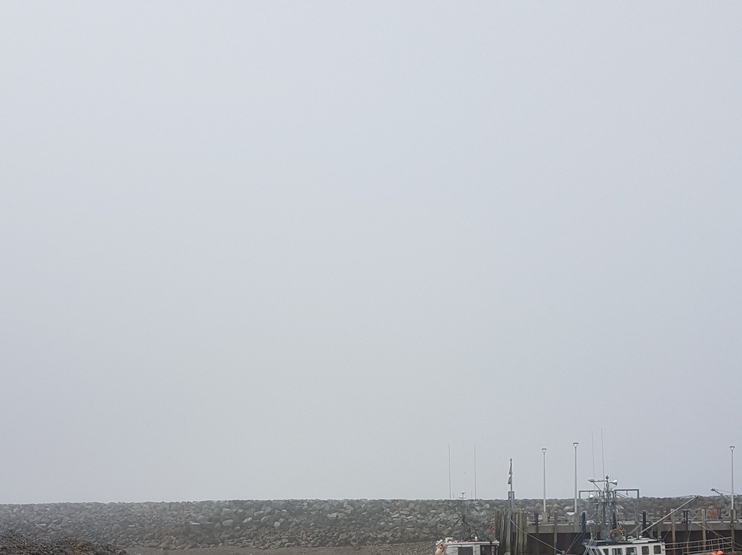 Alpine Motor Inn主图