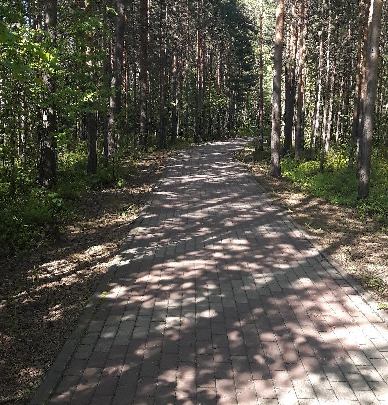 Park Kedrovy Log景点图片