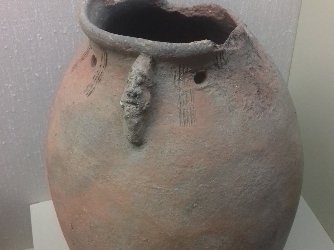 Musee de Nouvelle Caledonie-努美阿必去景点