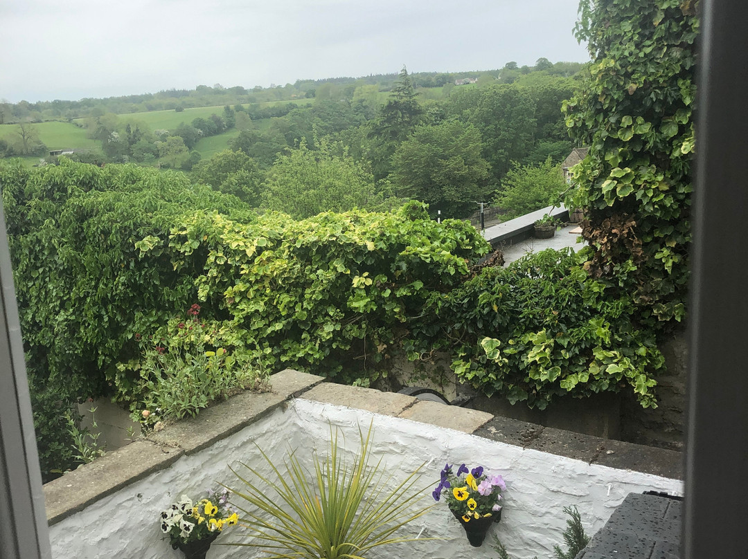 Willance House Guest House主图