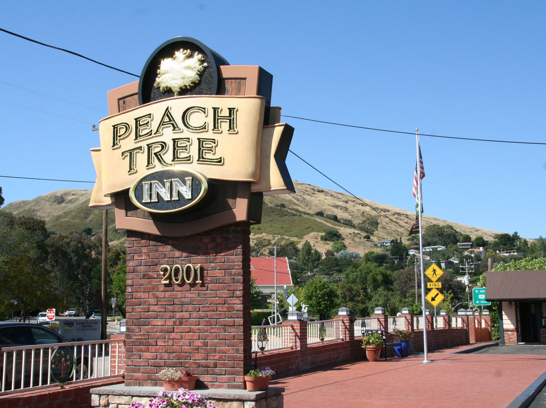 Peach Tree Inn主图