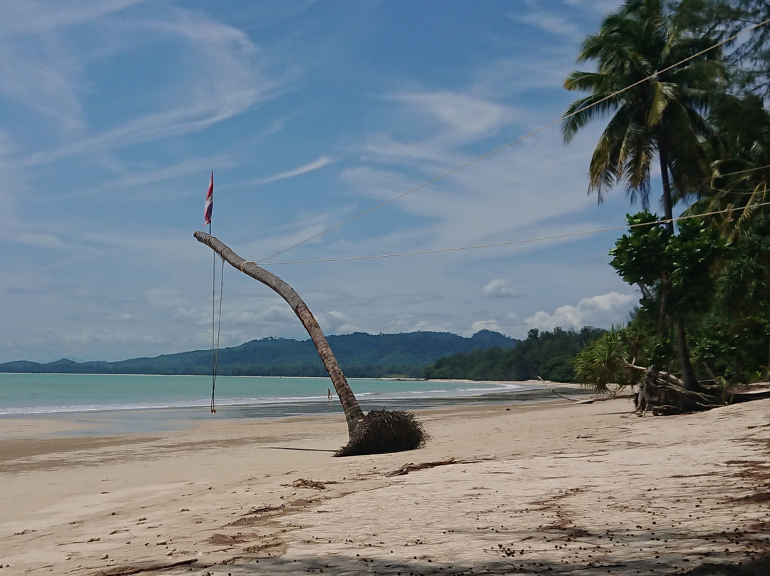 Coconut Beach景点图片