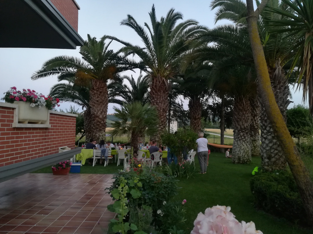 B&B Sotto le Palme