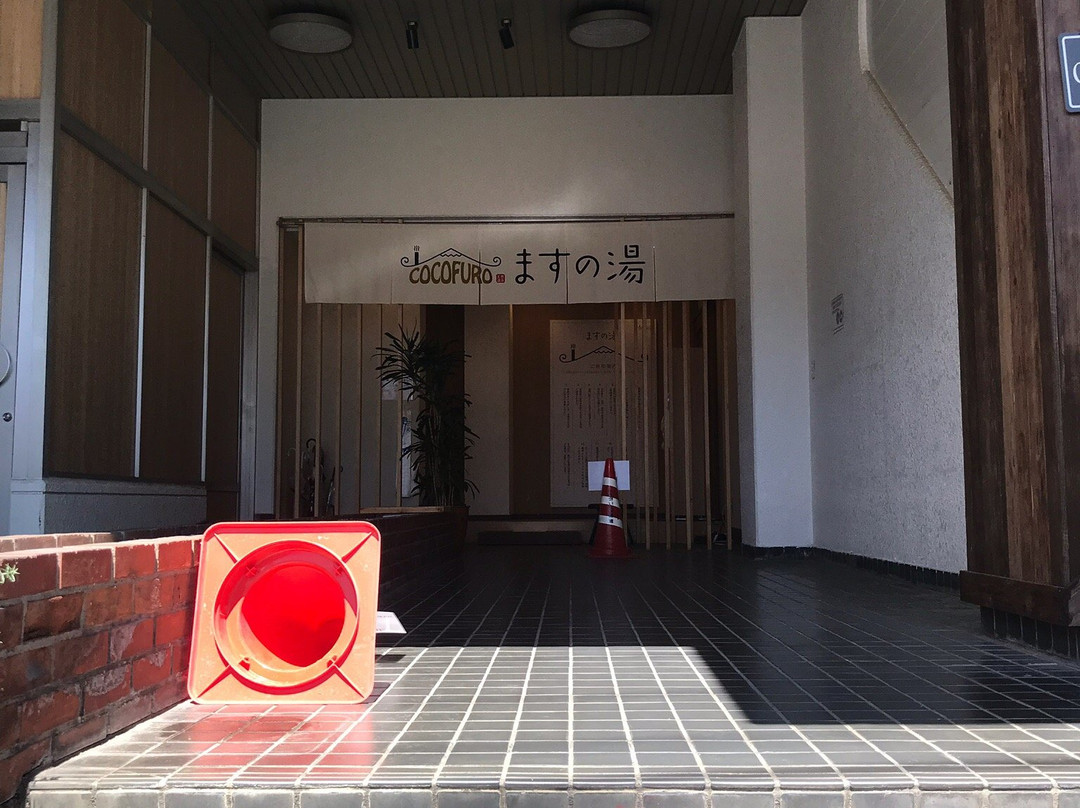 Cocofuro Masu no yu-大田区必去景点