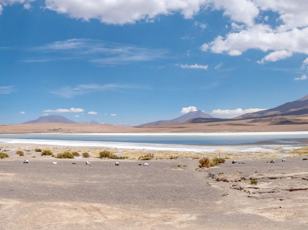 Jallalla Bolivia Tours-Villazon必去景点