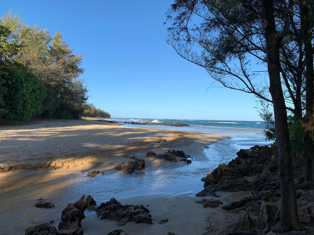 Kauai Mopeds-利胡埃必去景点