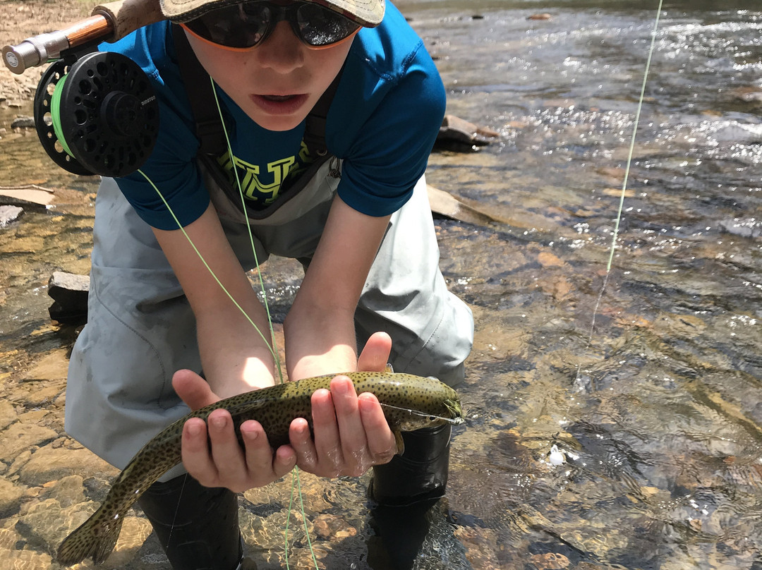 Knapps Creek Trout Lodge-Marlinton必去景点