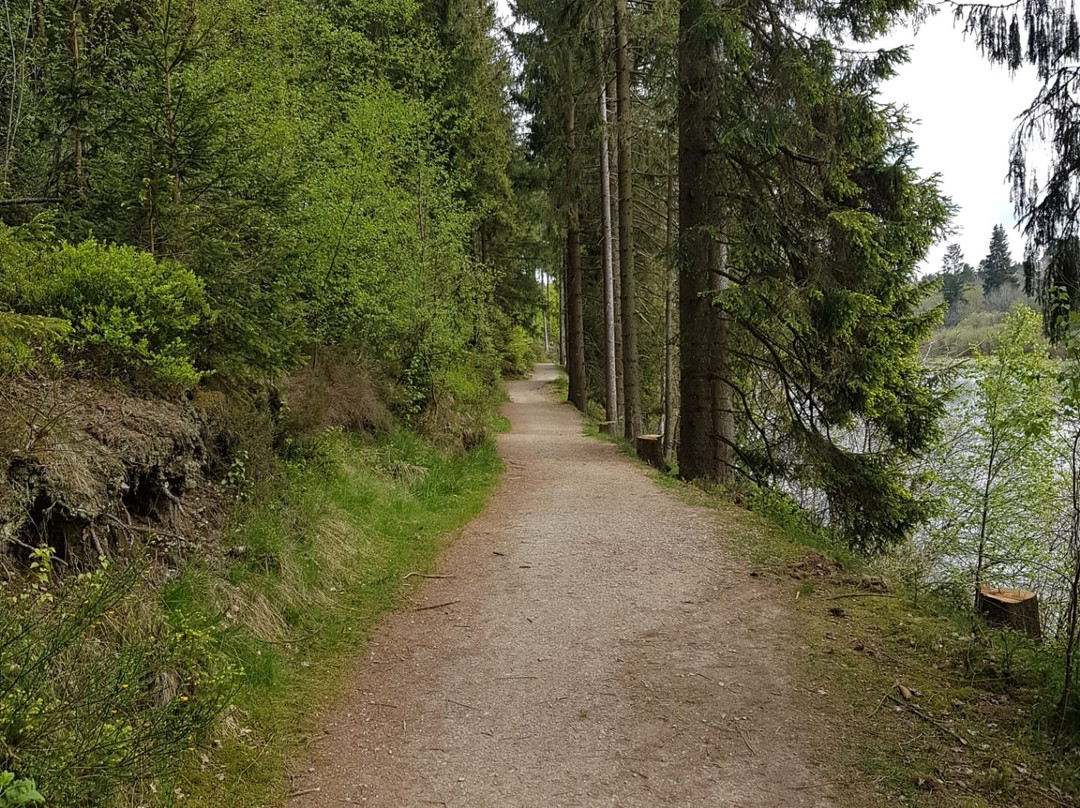 Butgenbacher Lake景点图片