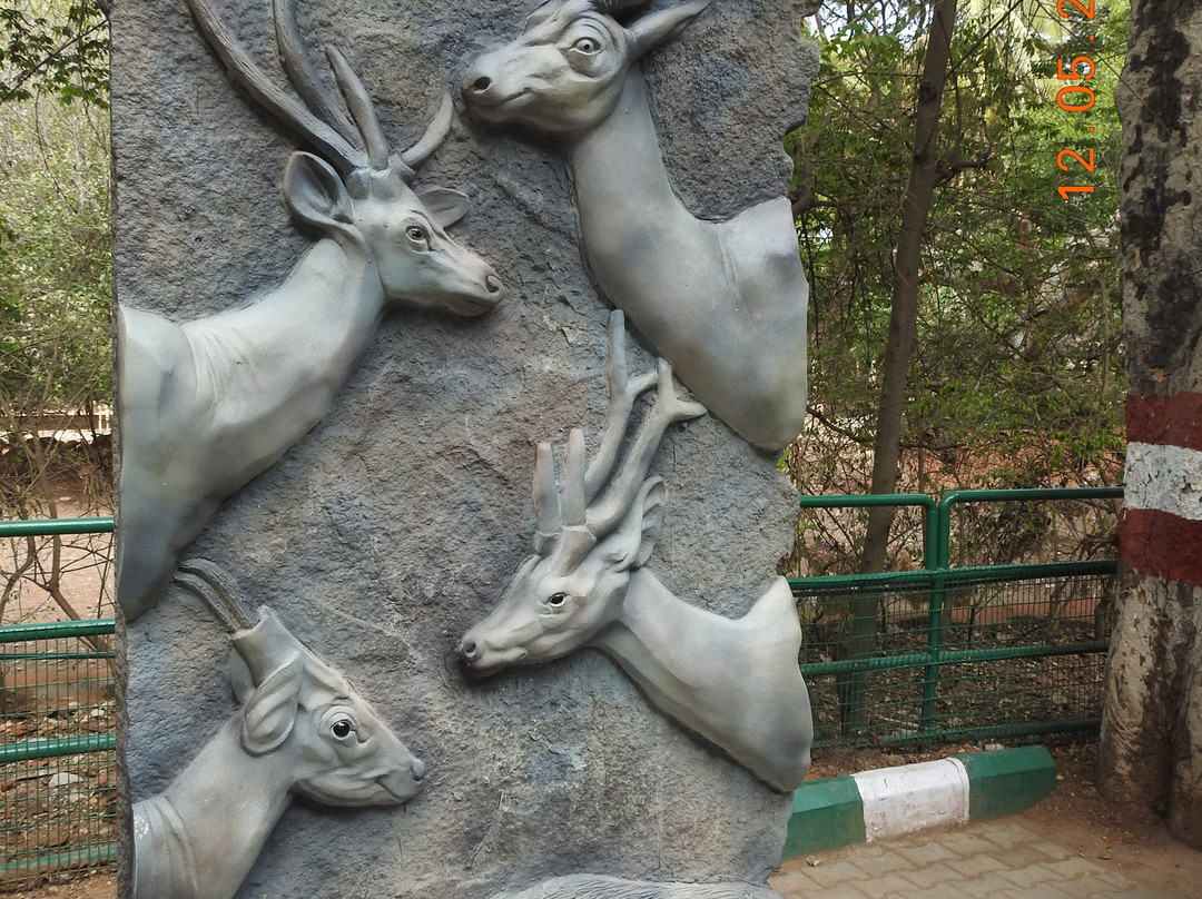 Sri Chamarajendra Zoological Gardens景点图片