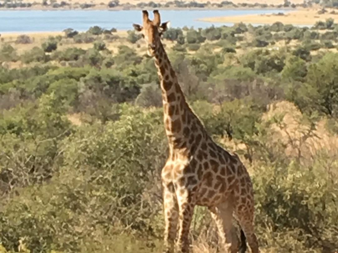 Ingrid's Safaris - Day Tour景点图片