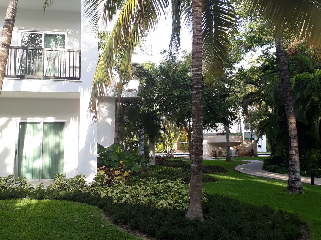 卡丽斯马阿祖尔法孚酒店主图