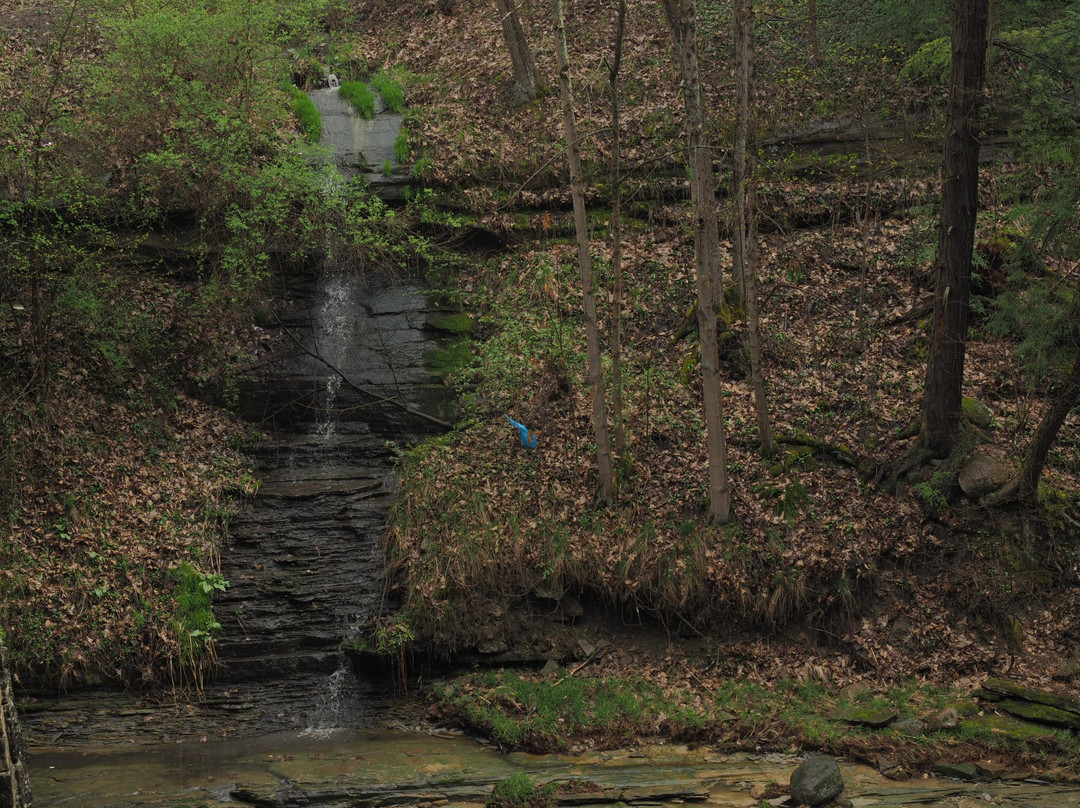 Windsor Mills Covered Bridge-Windsor必去景点