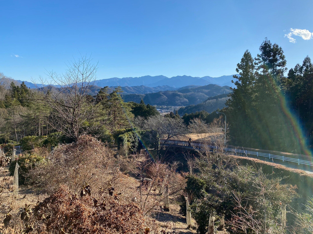 Midori no Mura Mori no Camp Site