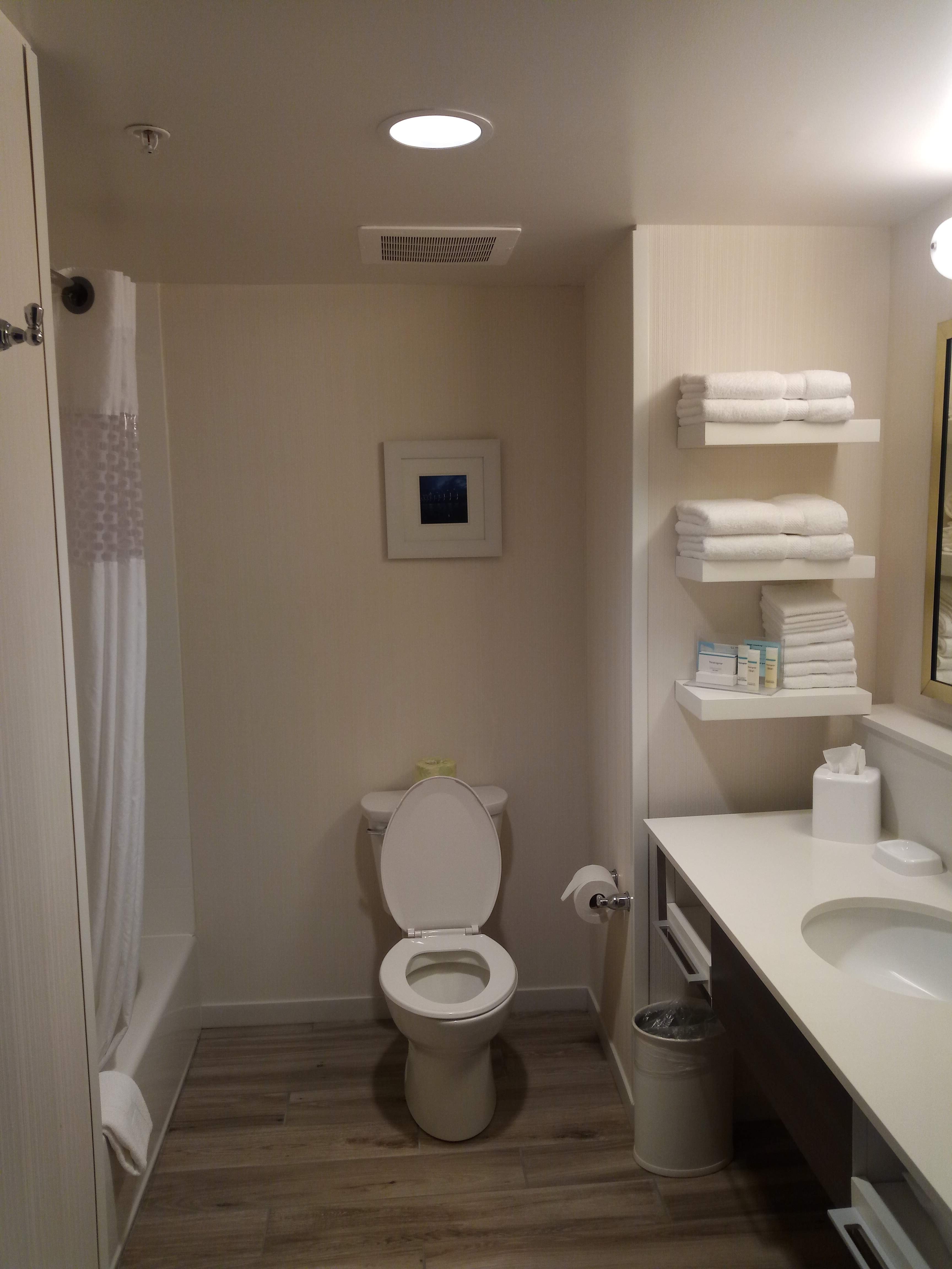 Hampton Inn Paragould-浴室