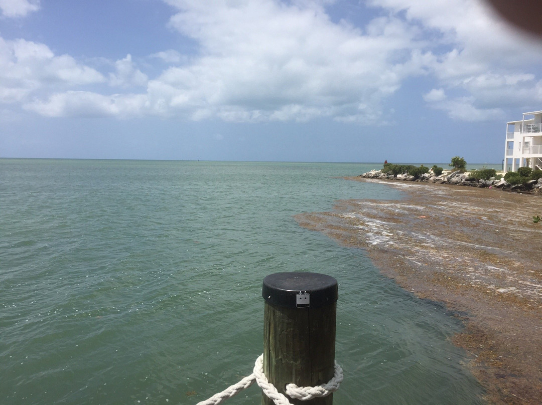 Oceanfront Park-马拉松必去景点