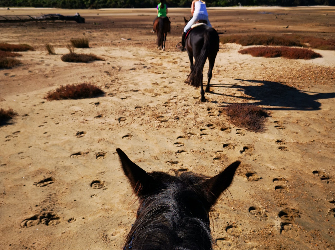 Abel Tasman Horse Trekking-玛拉豪必去景点