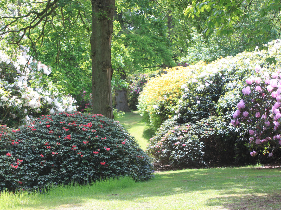 Bowood Woodland Garden-Calne必去景点