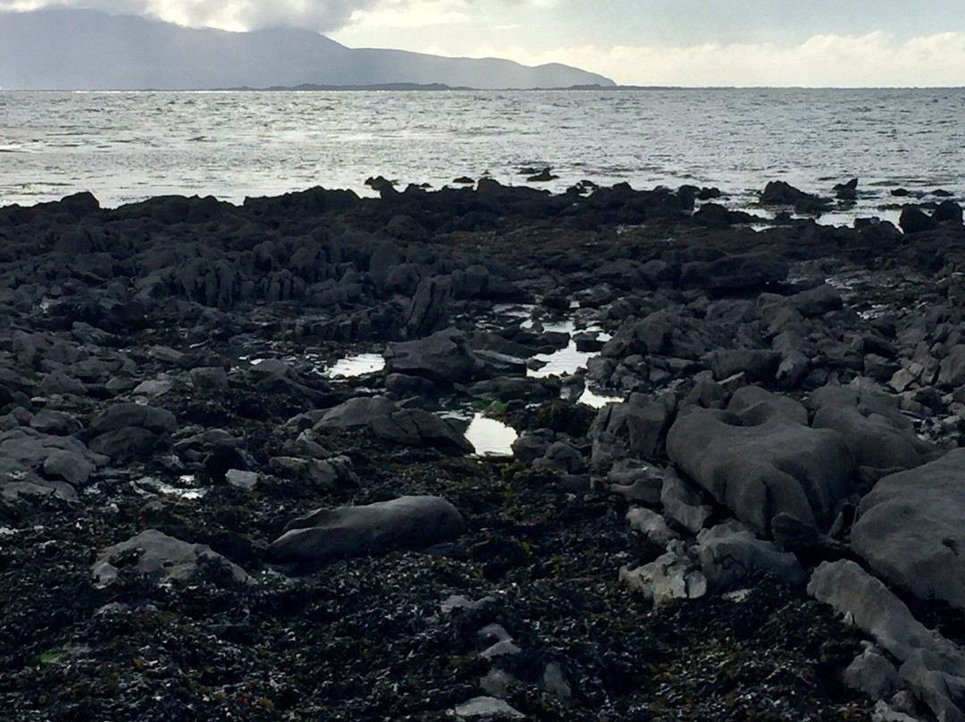 Fenit Lighthouse-特拉利必去景点