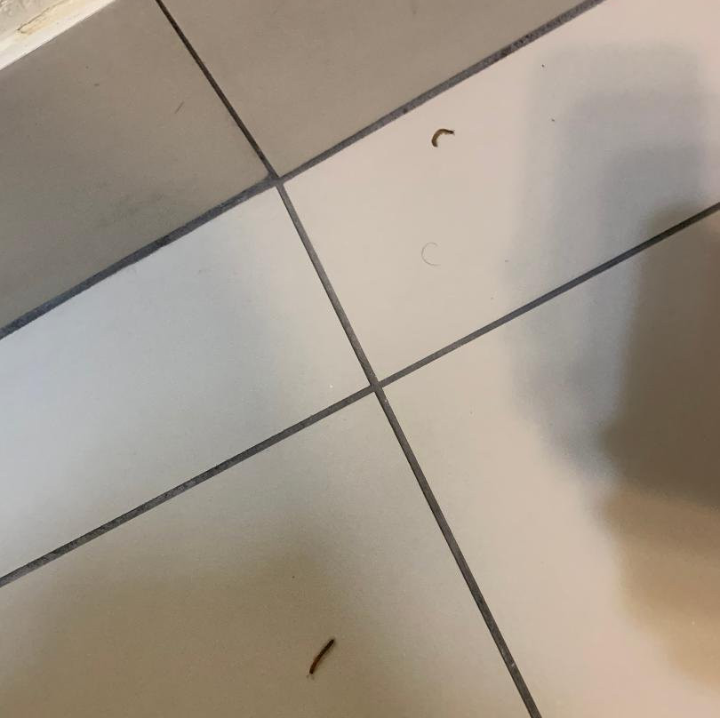 Baymont by Wyndham Rocky Mount I-95主图