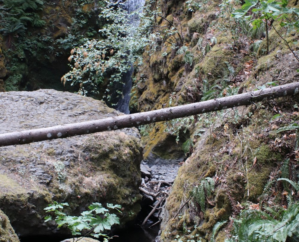 Hole-in-the-Wall Falls-Cascade Locks必去景点