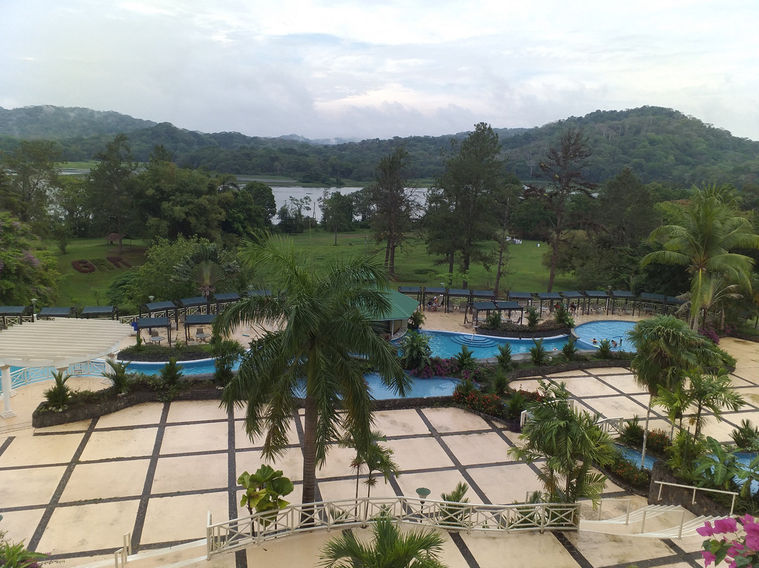 Gamboa Rainforest Reserve主图