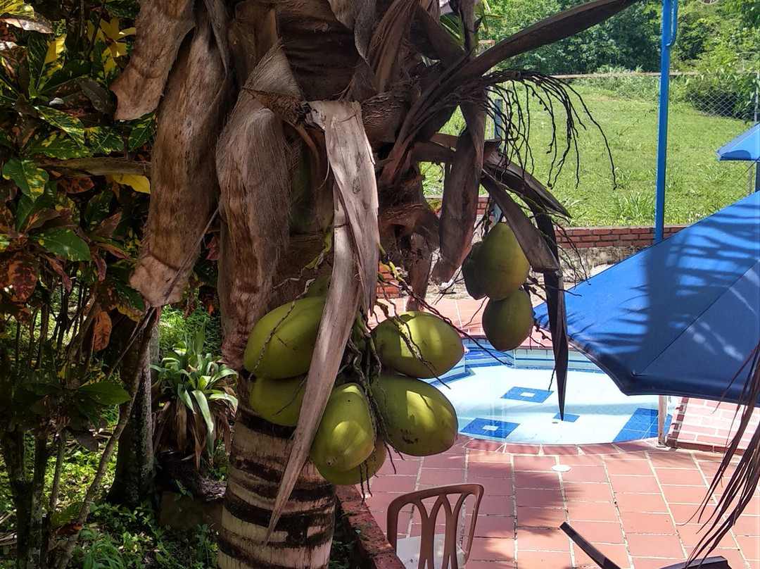 Hotel El Porton de San Gil主图