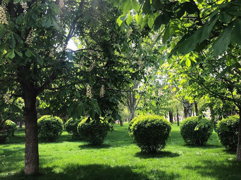 Pobedi Park-伏尔加格勒必去景点