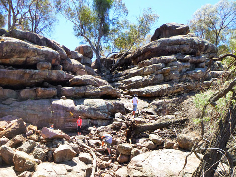 Cocoparra National Park-格里菲斯必去景点