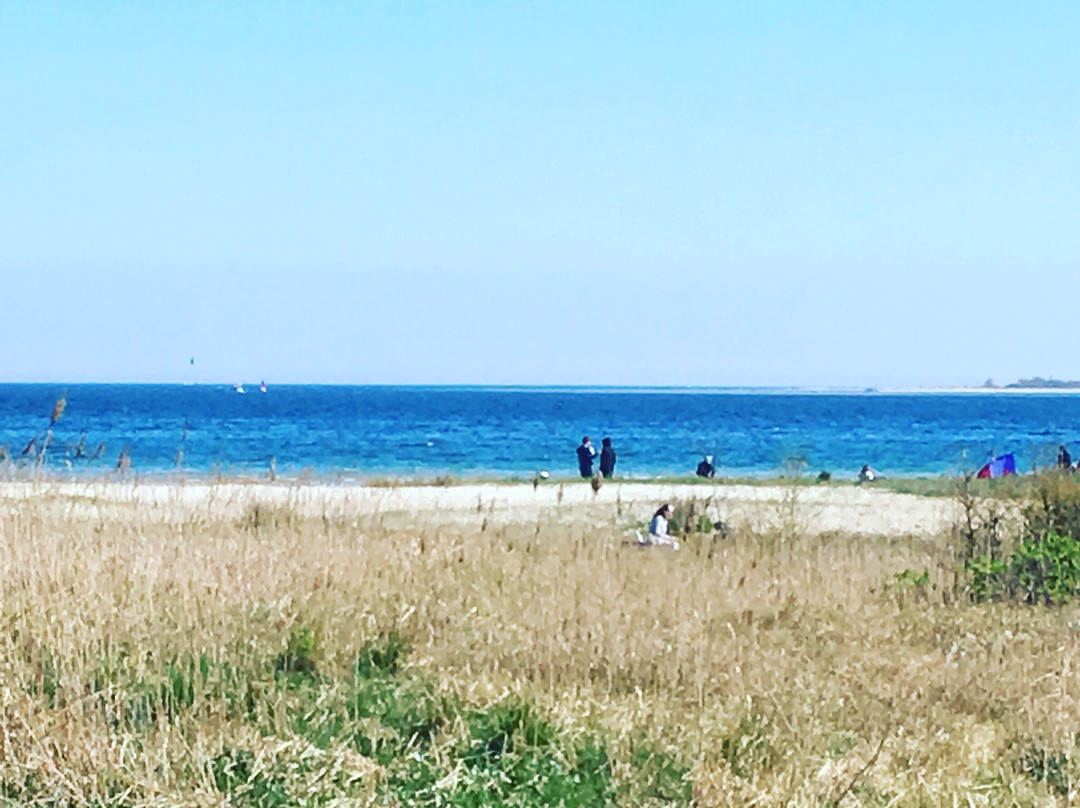Falckensteiner Strand-基尔必去景点
