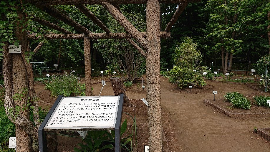 Tokyo Medicobotanical Garden景点图片