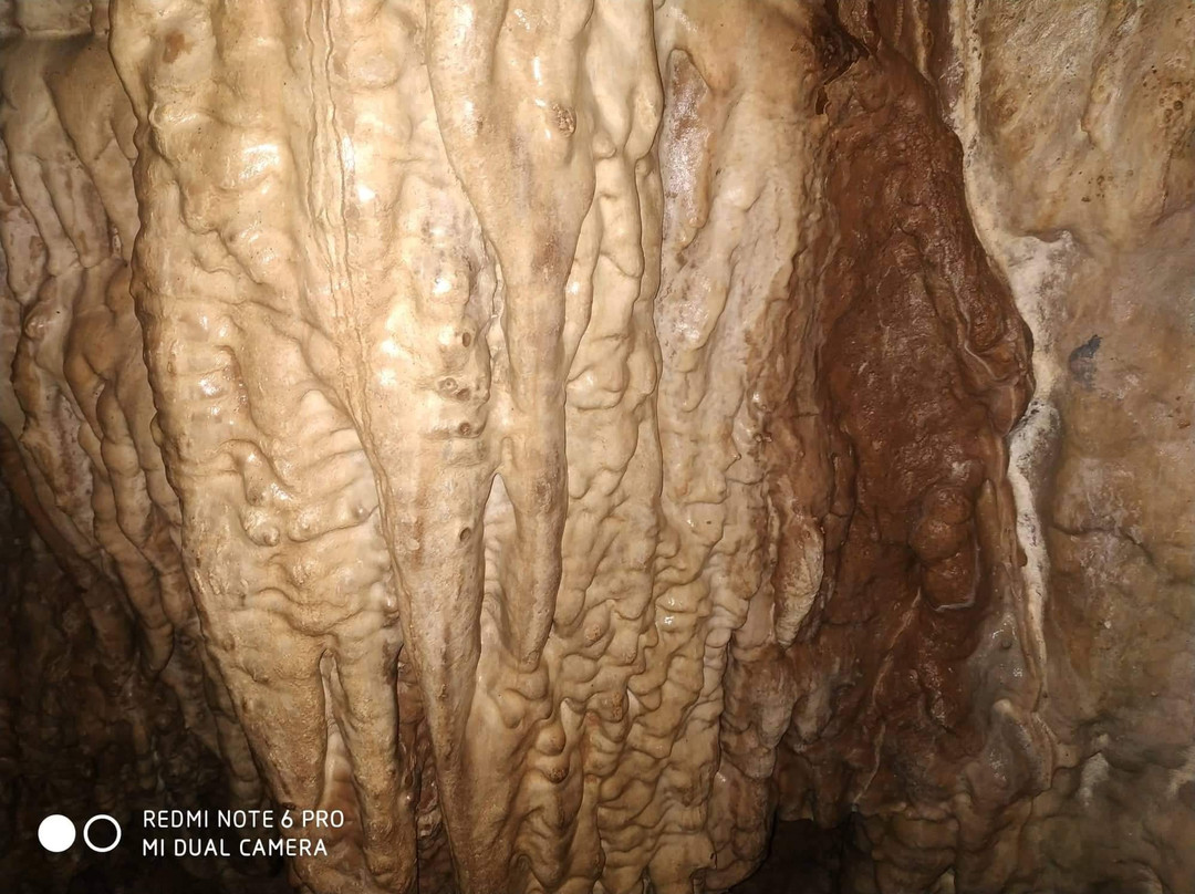 Cave Balcarka-Ostrov u Macochy必去景点