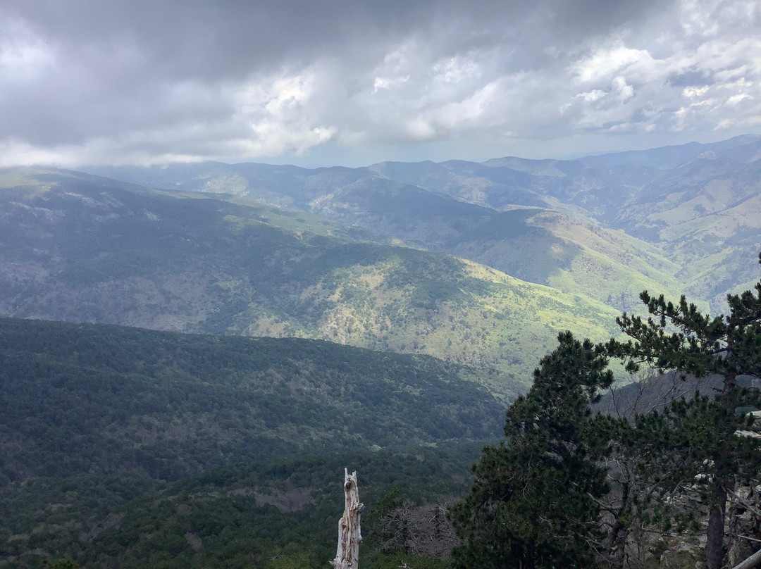 Kazdagi National Park景点图片
