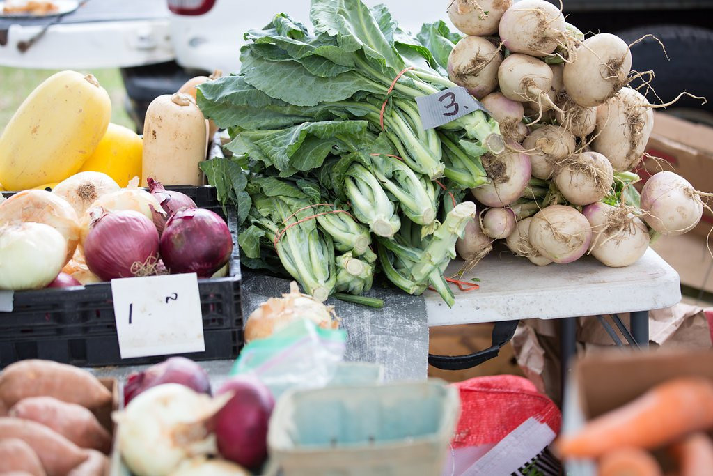 Orange Park Farmers' & Arts Market-橙园必去景点