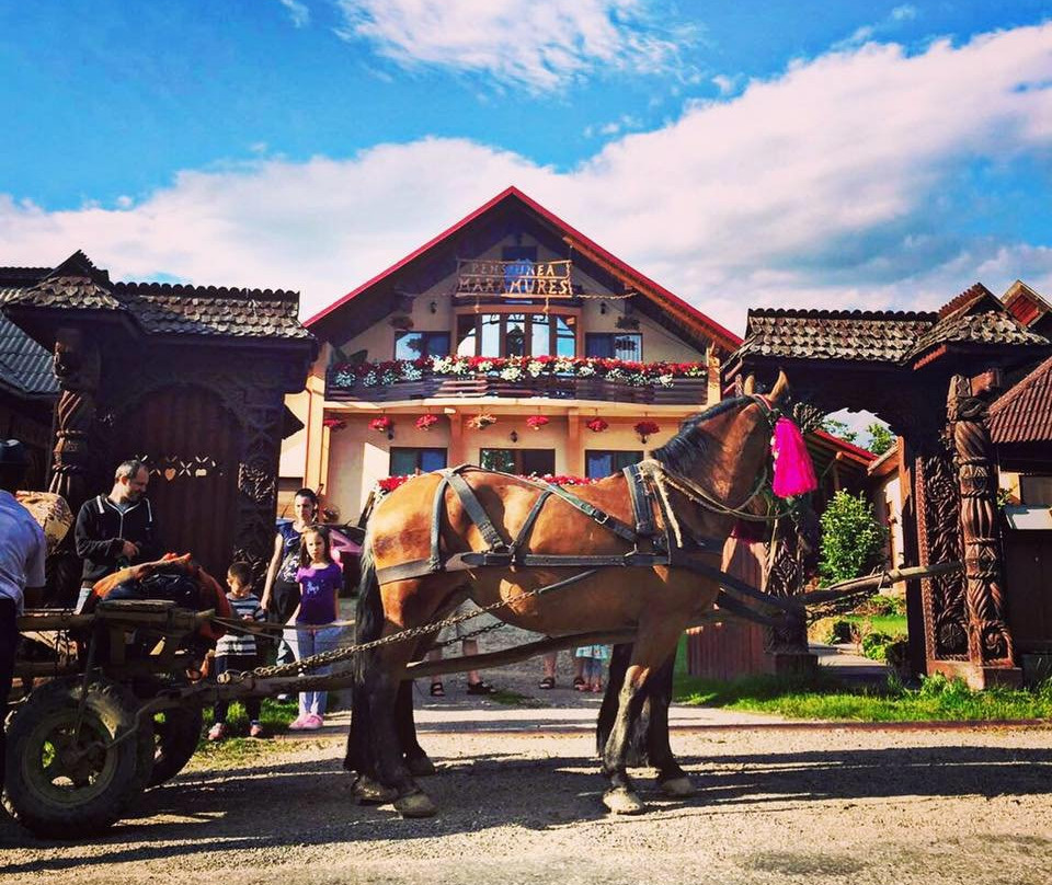Pensiuna Maramures-Hoteni主图