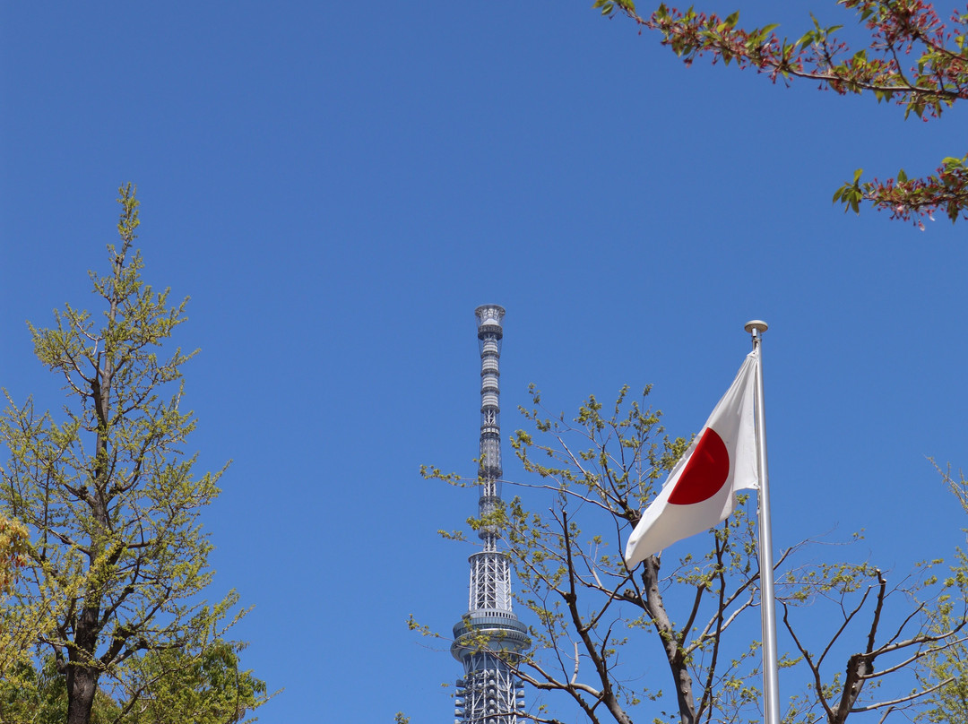 Kinshi Park-墨田区必去景点
