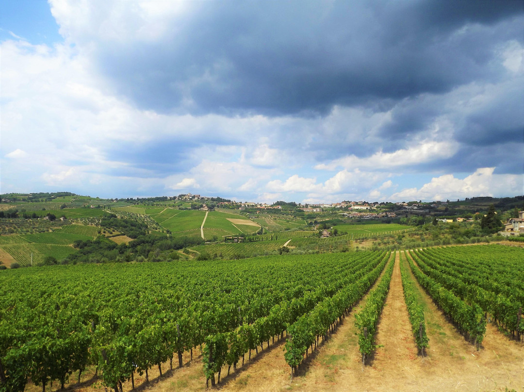 Happy in Tuscany di Firas Shibeeb-佛罗伦萨必去景点