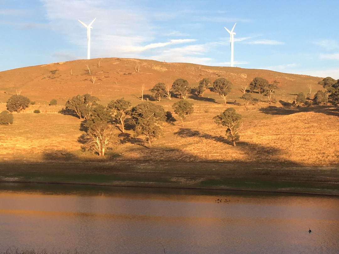 Carcoar Dam景点图片