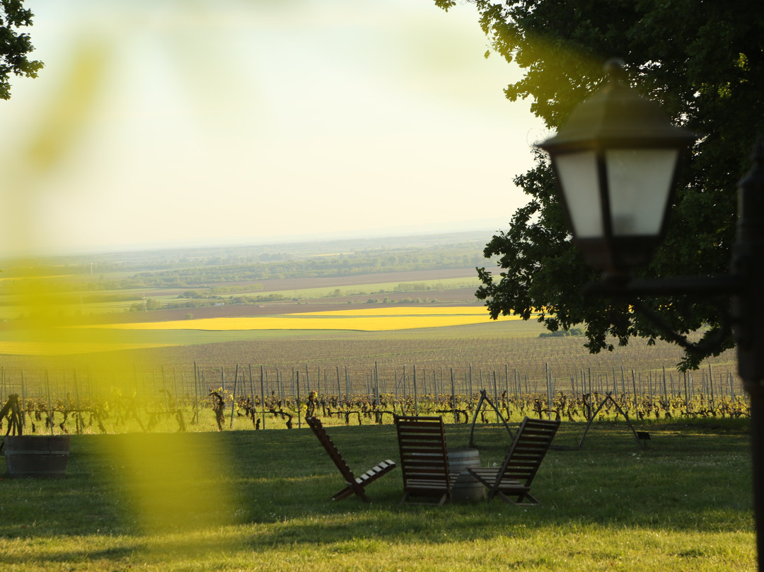 Wine a'More Travel-布达佩斯必去景点
